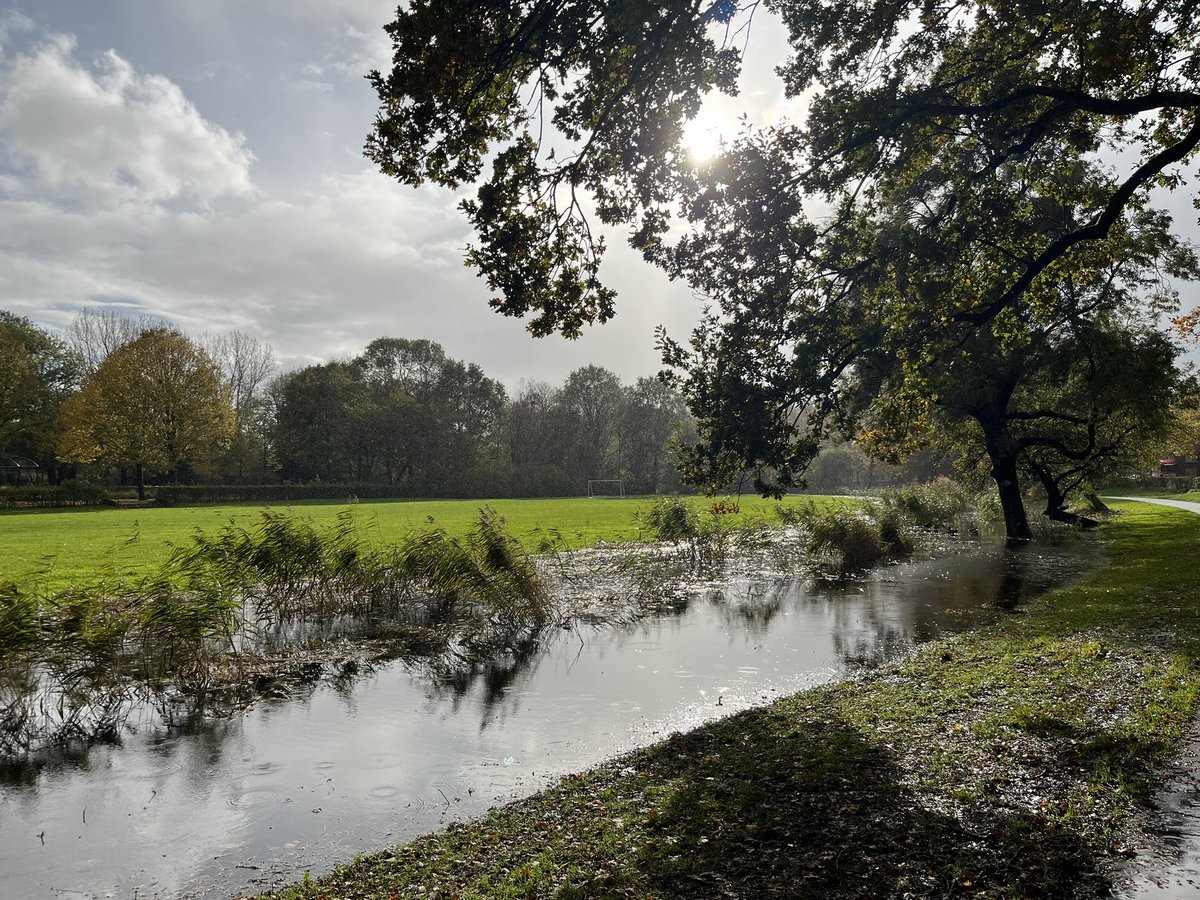 Waterstand in het Noorderpark. Let op, die rietkraag is niet de overkant van de sloot, maar normaal gesproken ‘deze’ kant…