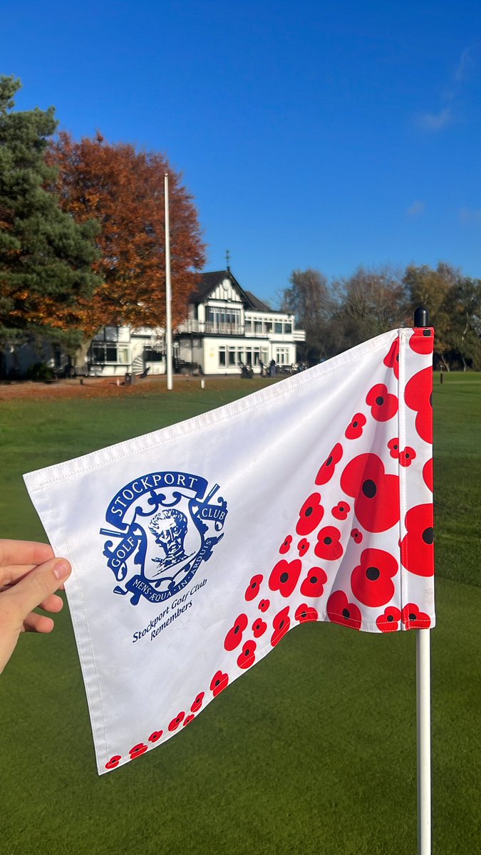 Jamie Storey tweet media