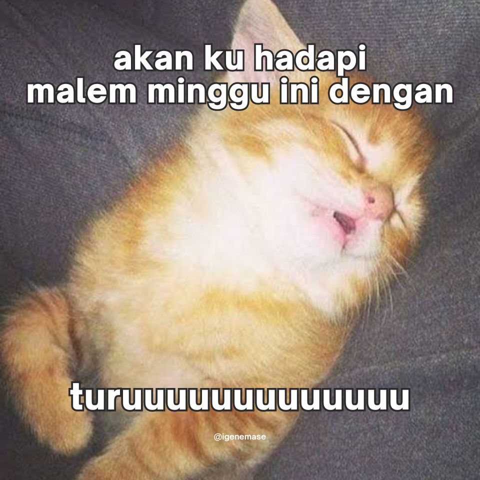 igenemase's tweet image. malming