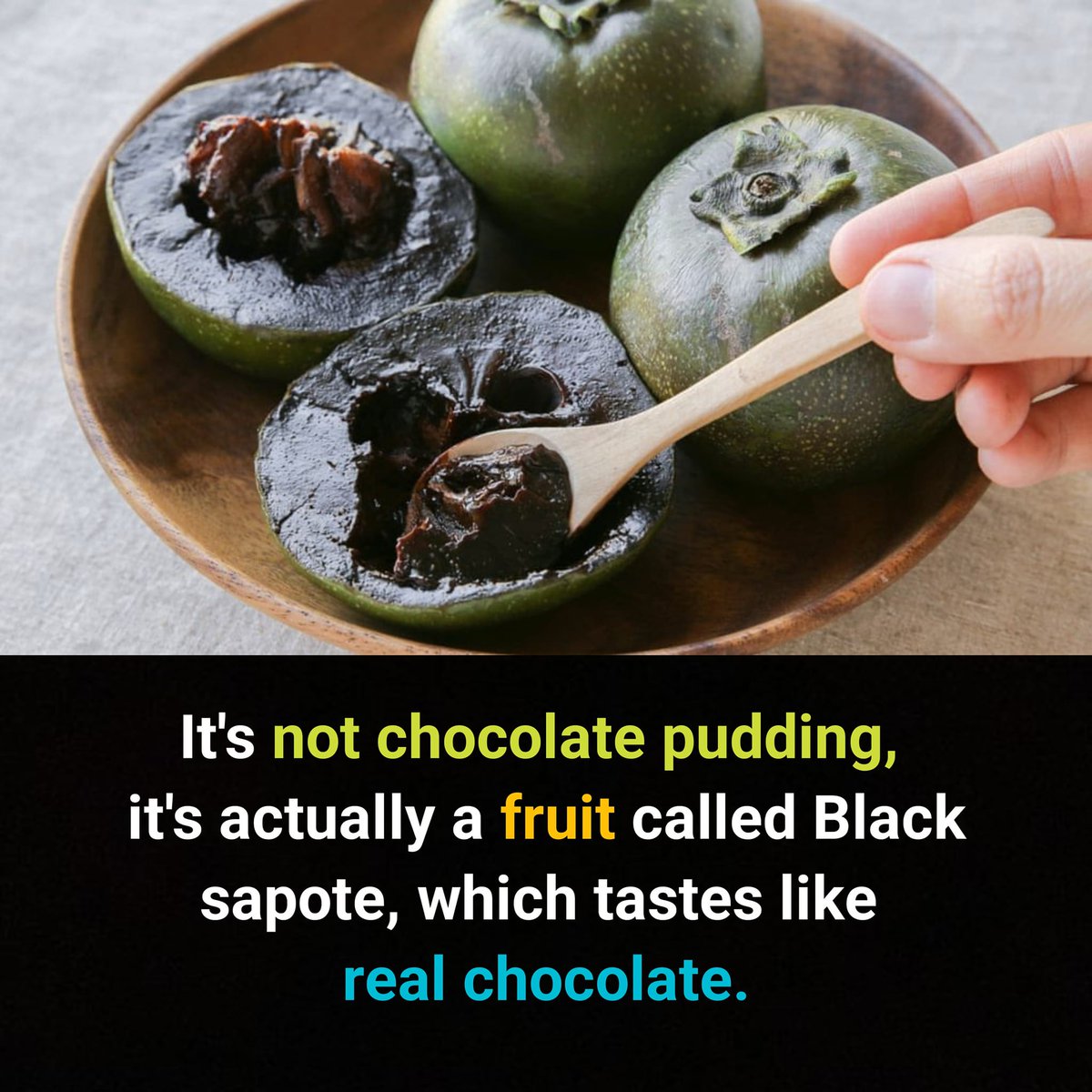HaroonsVlogs's tweet photo. Black Sapote just similar to Chocolate
#sapote #chocolate 
#moon #jOURney #Salar #Salar #Ronaldo #PAKvsNZ #BabarAzam #Abhiya #Abhisha #Elvisha #BiggBossTamil7 #Fakhar #GOAT𓃵 #Fakharzaman #SaraAliKhan #HeavyRain #Semifinal #PAKvsENG https://t.co/o1m8HRlPhO
