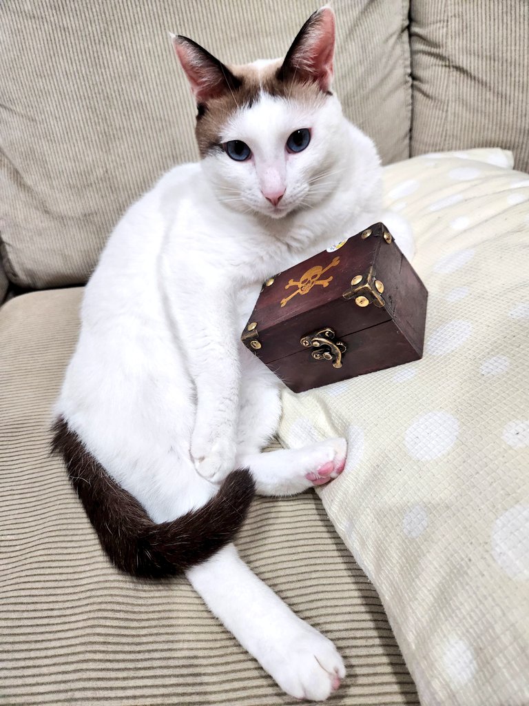 tsukune216's tweet image. これは倒したら莫大な経験値かドロップアイテムをくれる猫