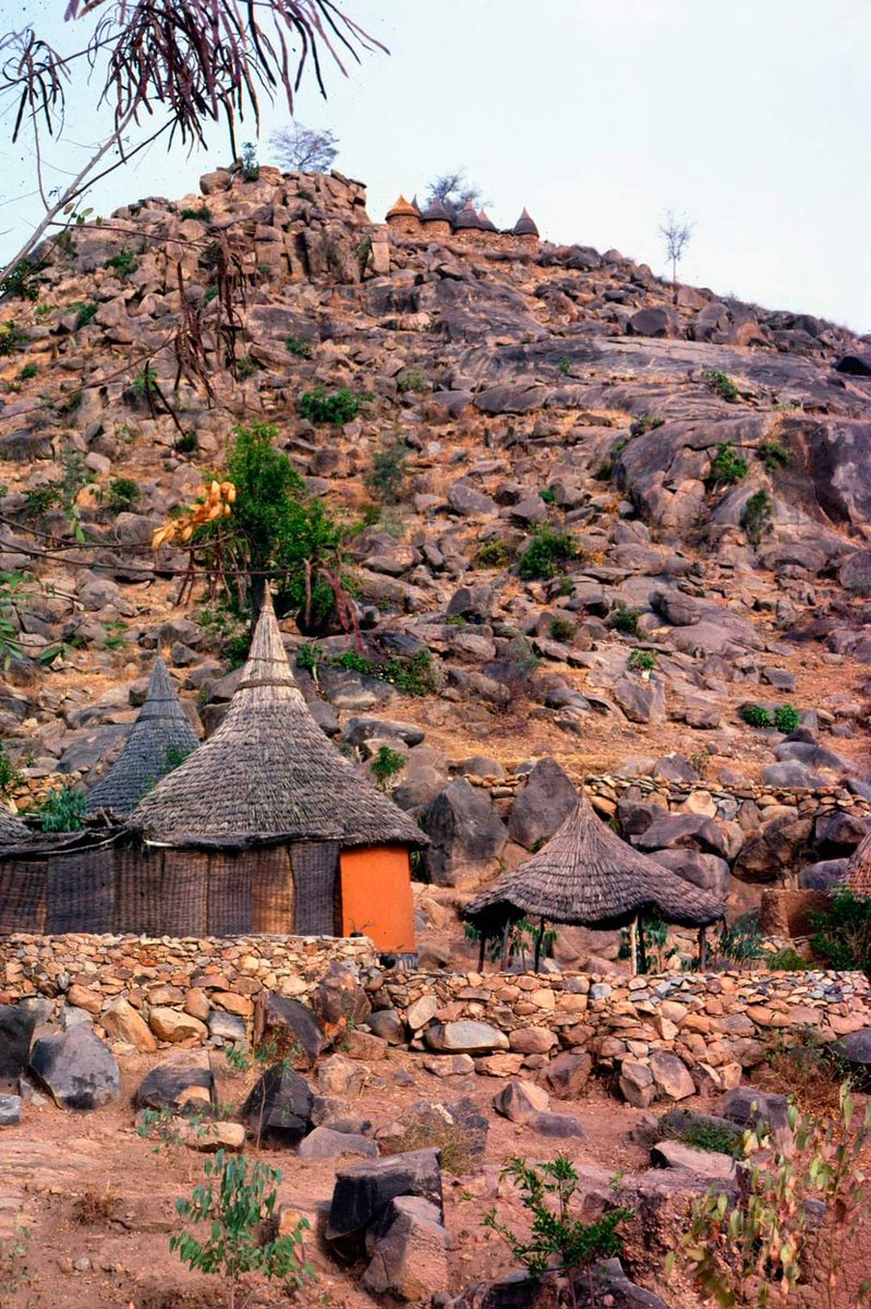 gampsonfranck's tweet photo. The Cameroon We Don't See on Tv
oursin (Jean-Marc)
Kapsiki
#luvwhatyoudo #onecameroon #Cameroonroadsuntraveled https://t.co/UiDhH9Bz0U