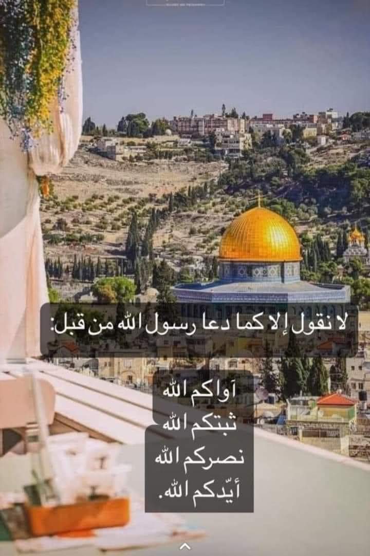 EbrahemEmam4's tweet photo. https://t.co/Pfwm5GEO88