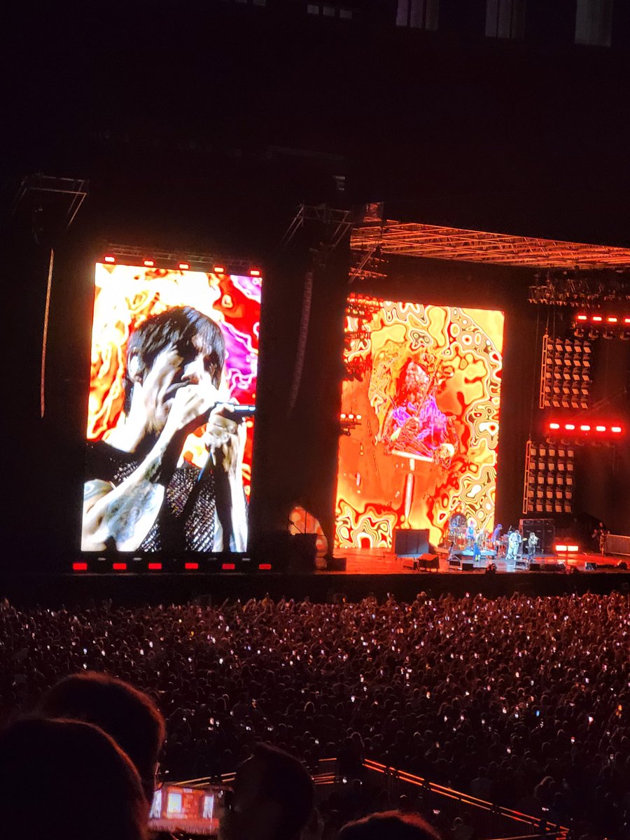advfaelem's tweet photo. BSB - 07.11 @ChiliPeppers sonho realizado! 😍 #realizedream https://t.co/5leDJxbSb2