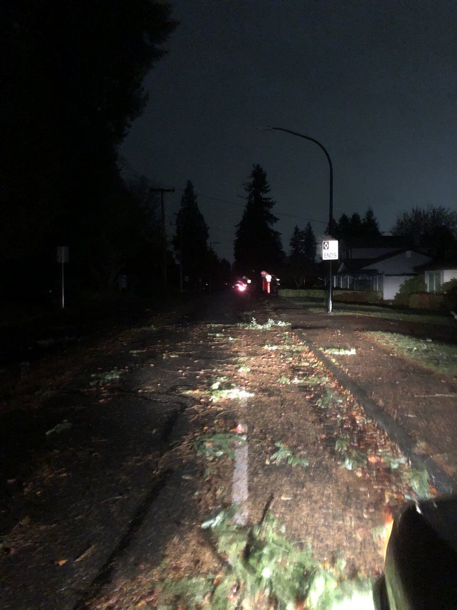 The lightning stood me up but the debris did not. Managed to tow two partial trees off roads and cleared several large branches. What is sleep? #bcstorm #bcstormwatch