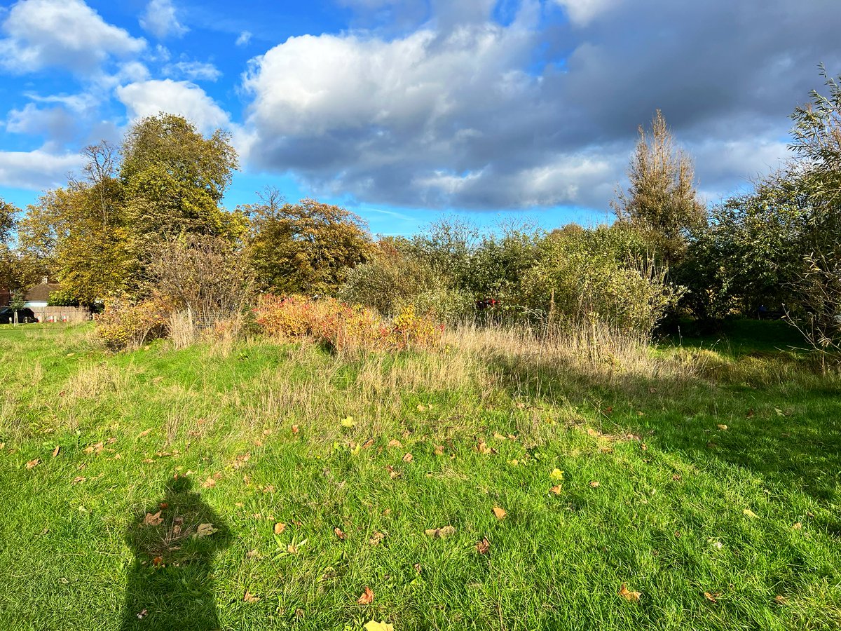 Joel Ashton 🍃🌳🍃 tweet media