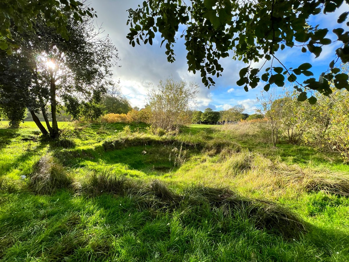 Joel Ashton 🍃🌳🍃 tweet media