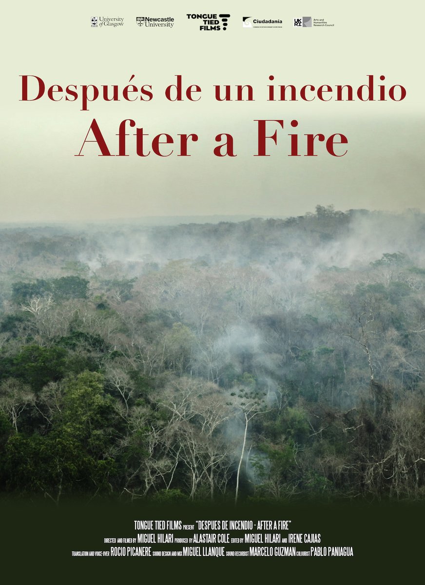 Alastair Cole (@tonguetiedfilms) on Twitter photo Limbering up for a few days at @idfa with our new mid length film Después de un incendio (After a Fire) which is in Docs for Sale <a href="/miguelhilari/">Miguel Hilari</a> Limbering up for a few days at @idfa with our new mid length film Después de un incendio (After a Fire) which is in Docs for Sale <a href="/miguelhilari/">Miguel Hilari</a>