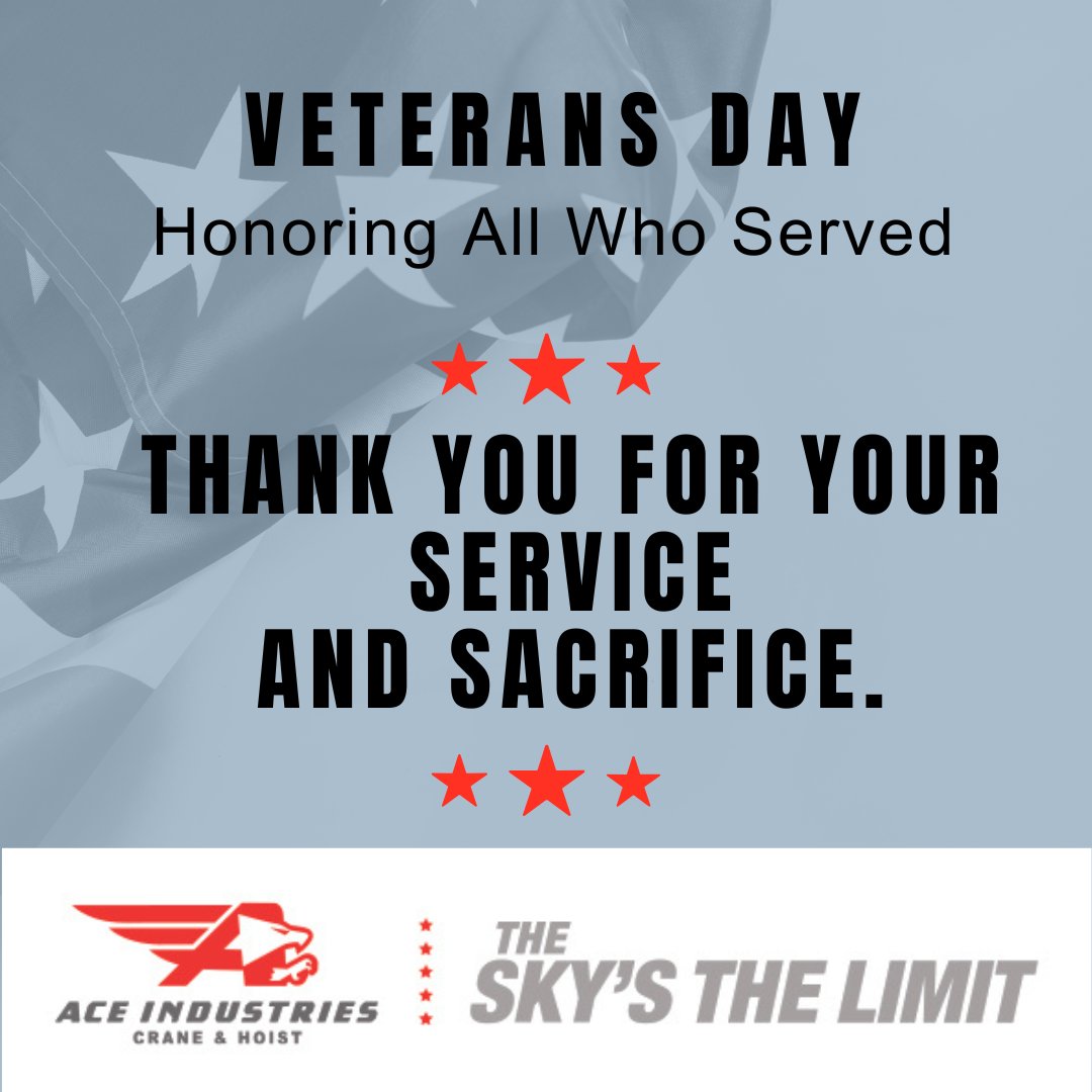 We honor and thank all the brave men and women who have served our country and made incredible sacrifices for our freedom. Happy Veteran's Day! 🎖️ 

#VeteransDay #AceIndustries #ThankYouForYourService