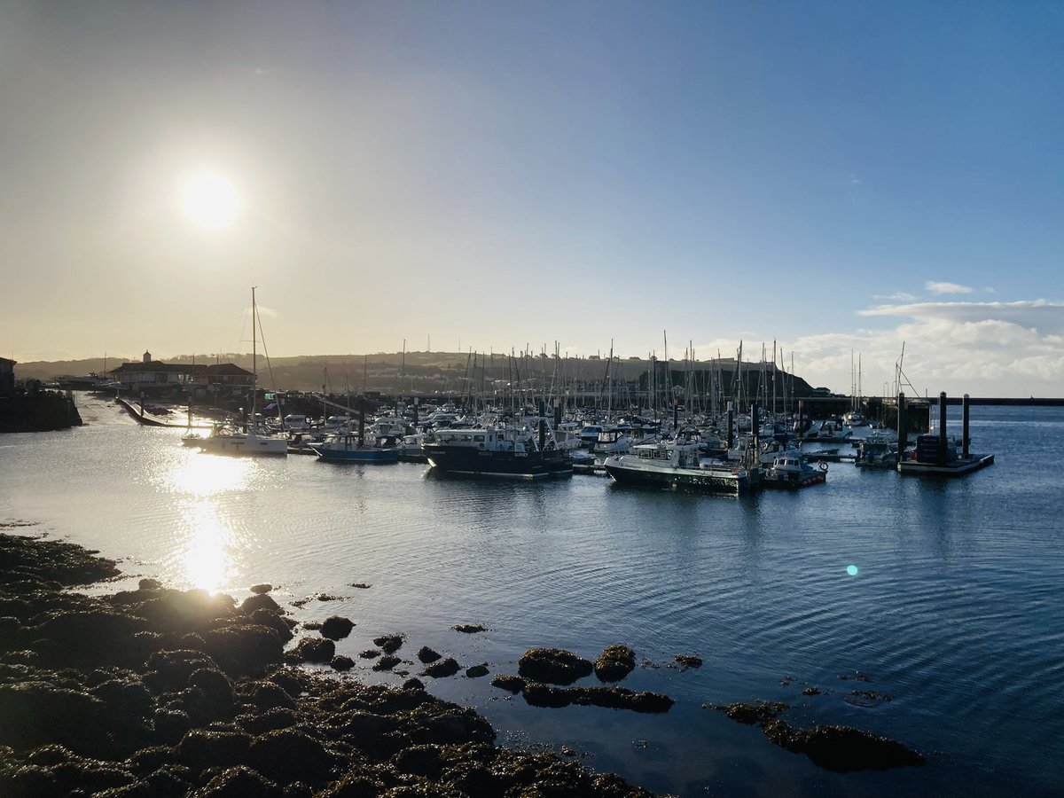 Had such an amazing couple of days at the UK Seagrass Symposium 2023 #UKSS23 #letstalkseagrass #seagrasssymposium23 <a href="/OceanCTrust/">Ocean Conservation Trust</a> @CwallWildlife 

Very grateful to have been given the opportunity to attend &amp; present our <a href="/beepresearch/">BEEP</a> #BEEP #citizenscienceproject #eelgrass 🌱💚