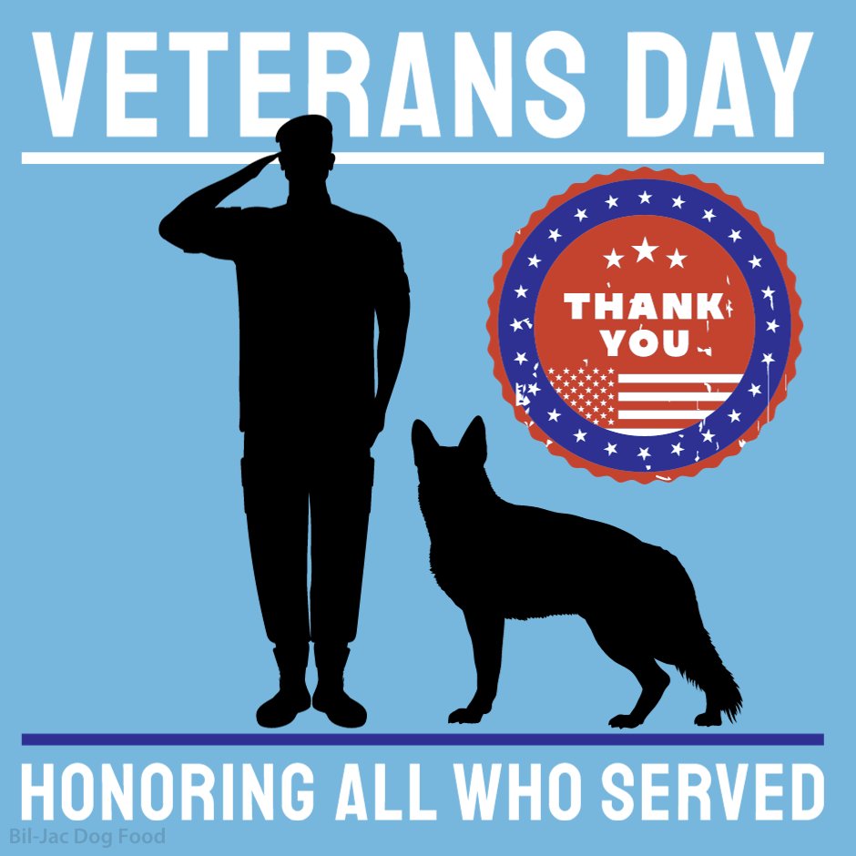On this Veterans Day, we want to take a minute to thank the selfless individuals who have made the honorable decision to serve our country. We also want to remember that military heroes come in all shapes and sizes.
