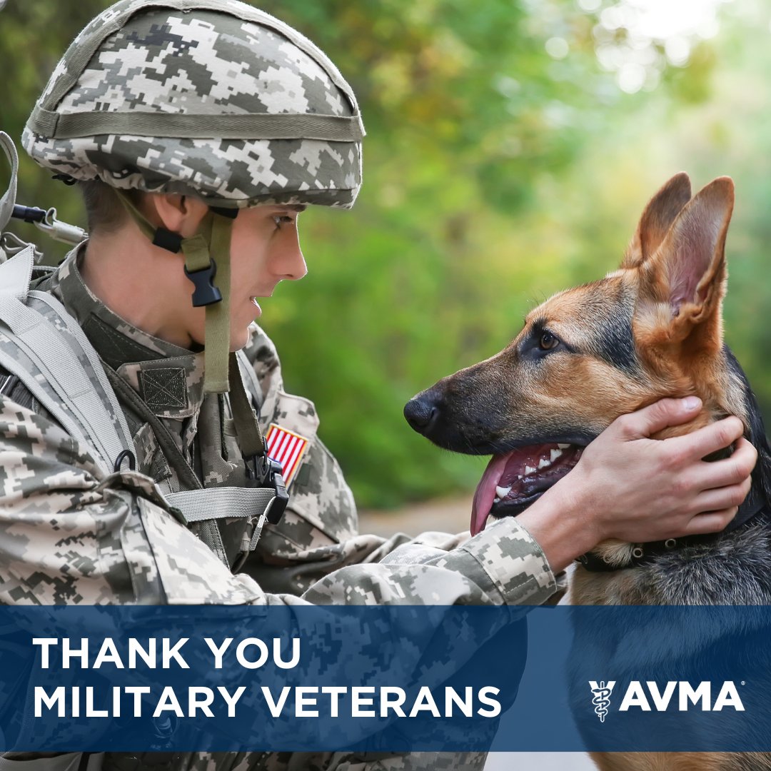 AVMAvets's tweet photo. #VeteransDay - The AVMA wants to send out a big thank you to all service members - including all the veterinary professionals and AVMA members who care for our military animals. If you’d like to show your support for veterans, you can help in two different ways ⬇️ https://t.co/GBLiSHLCWd