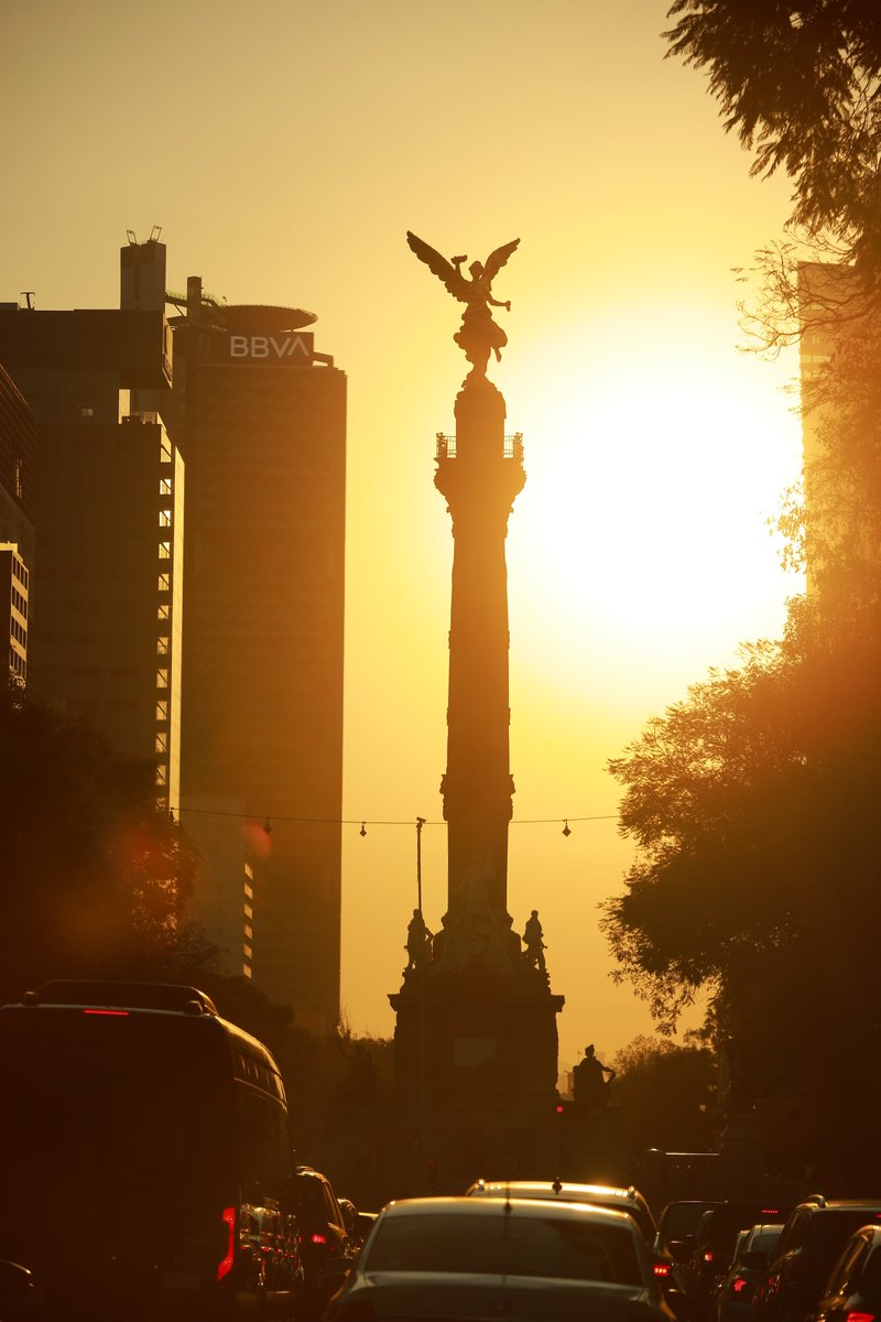 ClaraBrugadaM's tweet image. Un bello amanecer en nuestra gran Ciudad de México. 😍

#LaCiudadNosUne