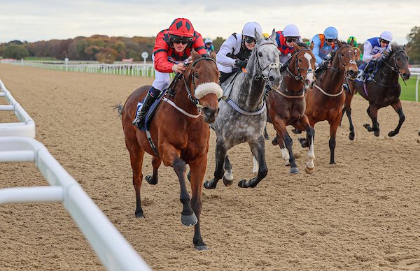 NewcastleRaces's tweet photo. RACE 1 RESULT – @VirginBet Training Series Final Apprentice Handicap 

 🥇 SIR MAXI

Winning jockey: Alex Fielding 
Winning trainer: Richard Fahey https://t.co/ANZJjEMldd