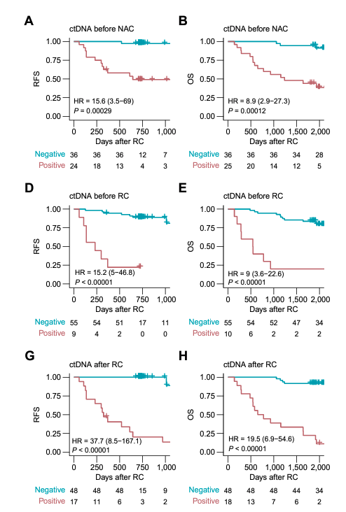 ✴️For NAC-treated patients, ctDNA status was highly prognostic of outcomes. At diagnosis, RFS Hazard Ratio (HR) was 15.6, OS HR 8.9. Post-NAC prior to RC: RFS HR 15.2, OS HR 9. After RC: RFS HR 37.7, OS HR 19.5. ctDNA's predictive power is evident at every stage.  #ctDNA
