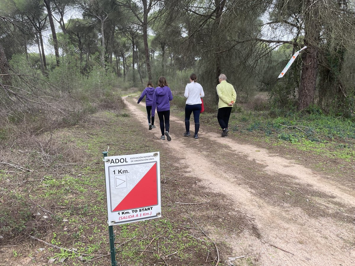 Genial día para hacer orientación en los pinares de <a href="/Ayto_Aznalcazar/">Ayto Aznalcázar</a> en el #sevillaomeeting