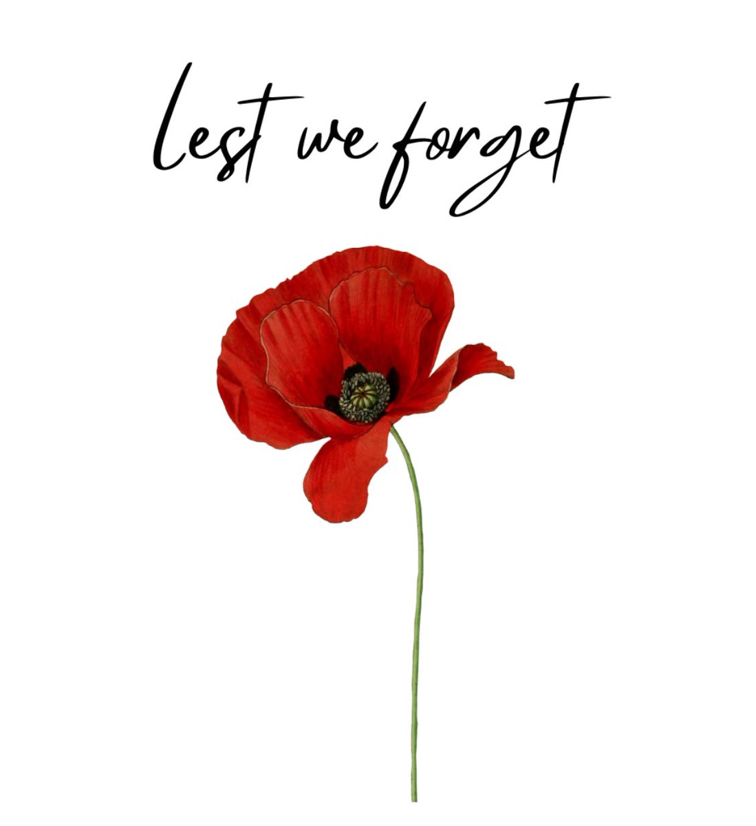 Today on Remembrance Day, we remember and honor those, who sacrificed their lives and freedom, so we could live and have ours.

#lestweforget