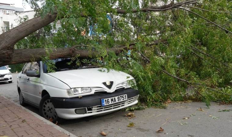 Bursa'da 'lodos' etkisi: Ağaç otomobilin üzerine düştü