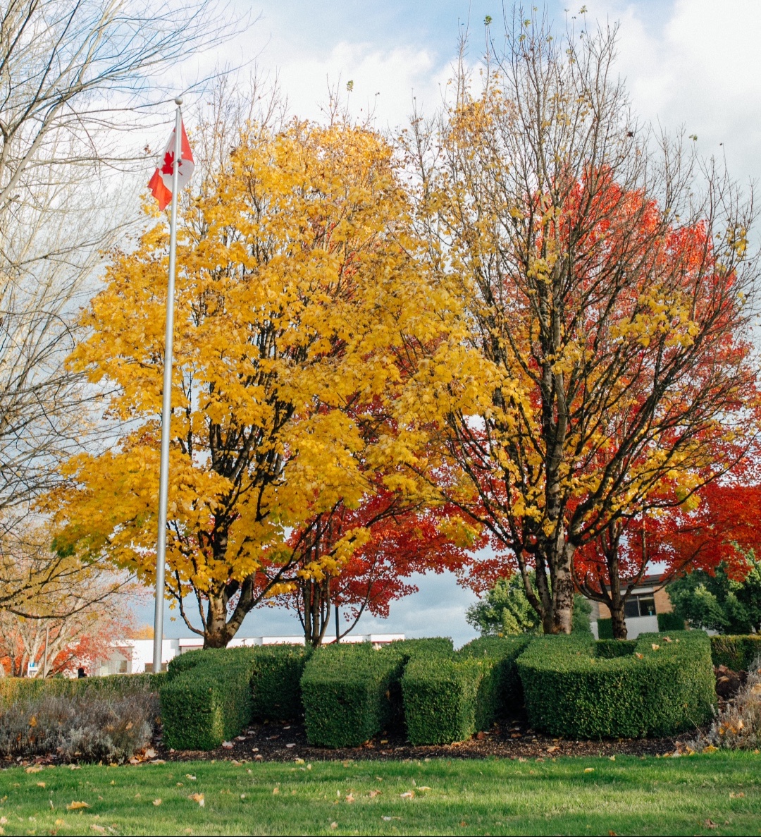 Today, we pause to reflect on the sacrifices of the brave men & women who have served our country and made the ultimate sacrifice for our freedom. On behalf of our University community, we extend our deepest gratitude to all those who have served our country. #Lestweforget
