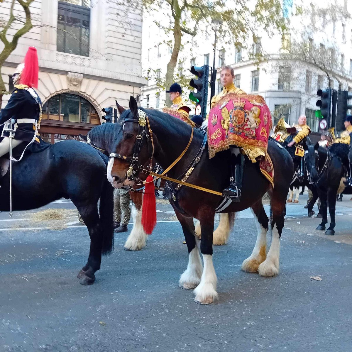 Our girl Willa Rose (Major Juno) was on parade today for the #LordMayorShow in #london. @BandHCav