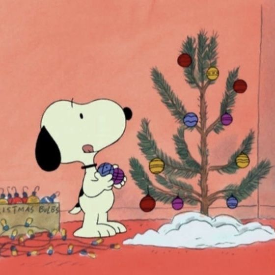 lovesickdoe's tweet photo. it's beginning to look a lot like christmas... https://t.co/YnJcM2thEe