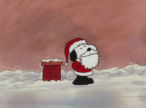 lovesickdoe's tweet photo. it's beginning to look a lot like christmas... https://t.co/YnJcM2thEe