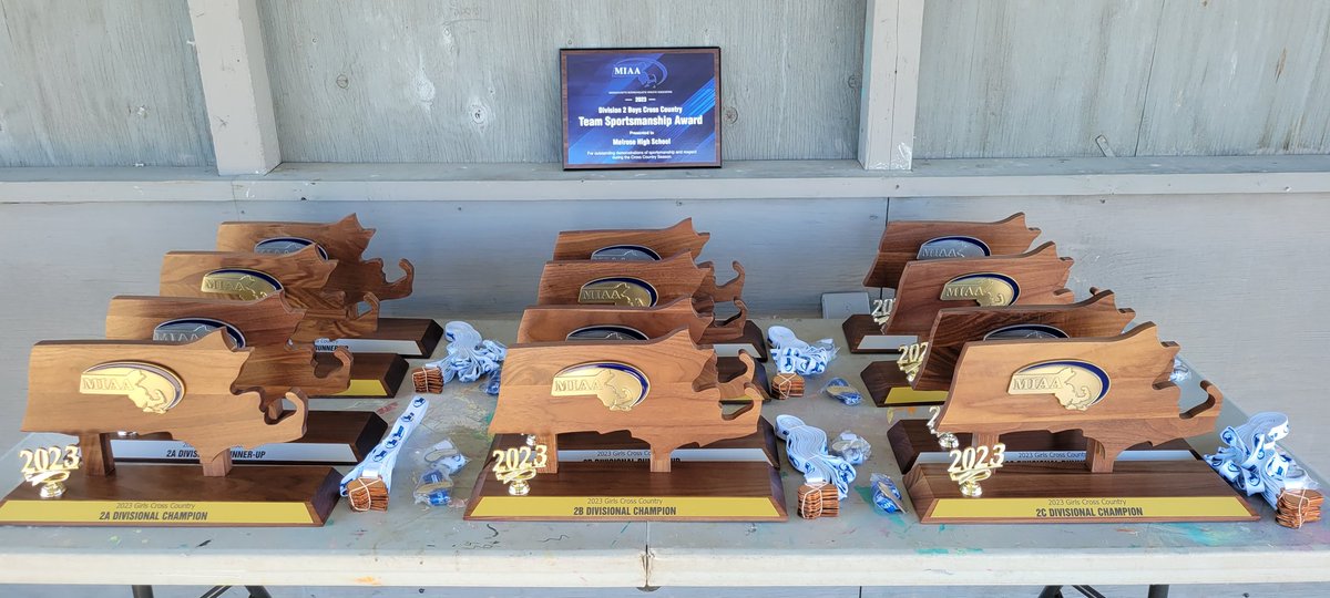 MIAA D2 XC Championship Awards <a href="/MIAA033/">MIAA</a> #RUNXC