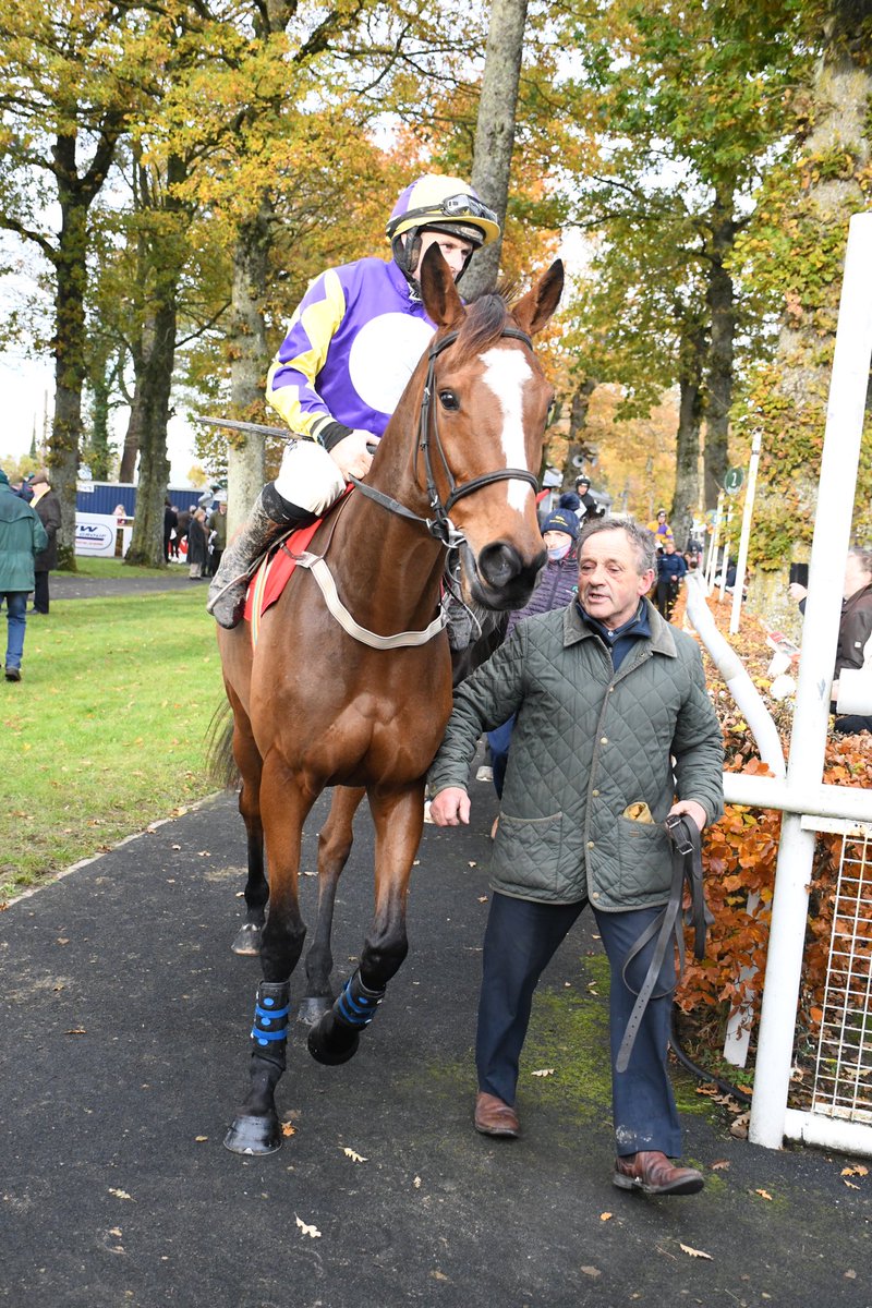 PCequinephoto's tweet photo. Teuchters Glory Tracy @WinacreS Gowran Park 11/11/23 https://t.co/czJqSaeCYq