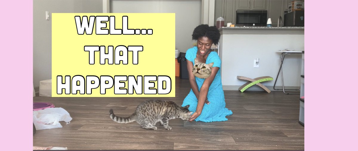 CyneasIdeas's tweet photo. Teaching My Cat Tricks (Gone Wrong) on my YT channel! https://t.co/Y65mdFvnzY #silly #skits #funny #comedy #funnypets #cuteanimals #vlog #trending #viral https://t.co/8EzFsGzNwQ