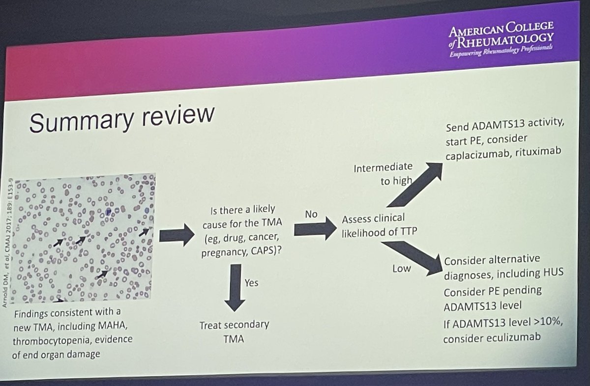 The money slide from Dr Ortels talk on TMA: challenging cases and treatment #acr23 #reviewcourse