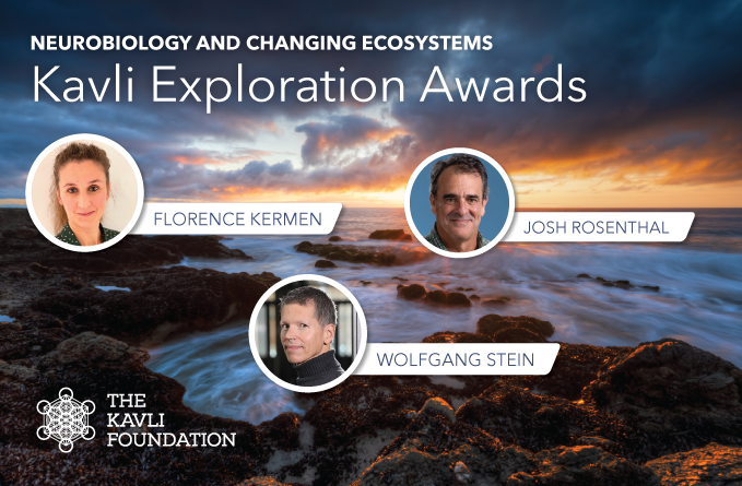 The Kavli Foundation (@kavlifoundation) on Twitter photo 🌱We are thrilled to announce the first Kavli Exploration Awards in Neurobiology and Changing Ecosystems!
Three projects will pursue novel investigations into how nervous systems may enable organisms to adapt to environmental challenges
kavlifoundation.org/news/internati…
#KavliNeuro 🌱We are thrilled to announce the first Kavli Exploration Awards in Neurobiology and Changing Ecosystems!
Three projects will pursue novel investigations into how nervous systems may enable organisms to adapt to environmental challenges
kavlifoundation.org/news/internati…
#KavliNeuro