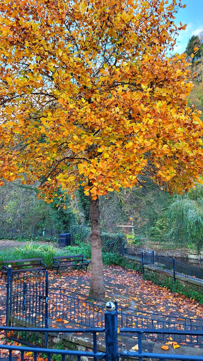 Vibrant Autumn colours #MatlockBath