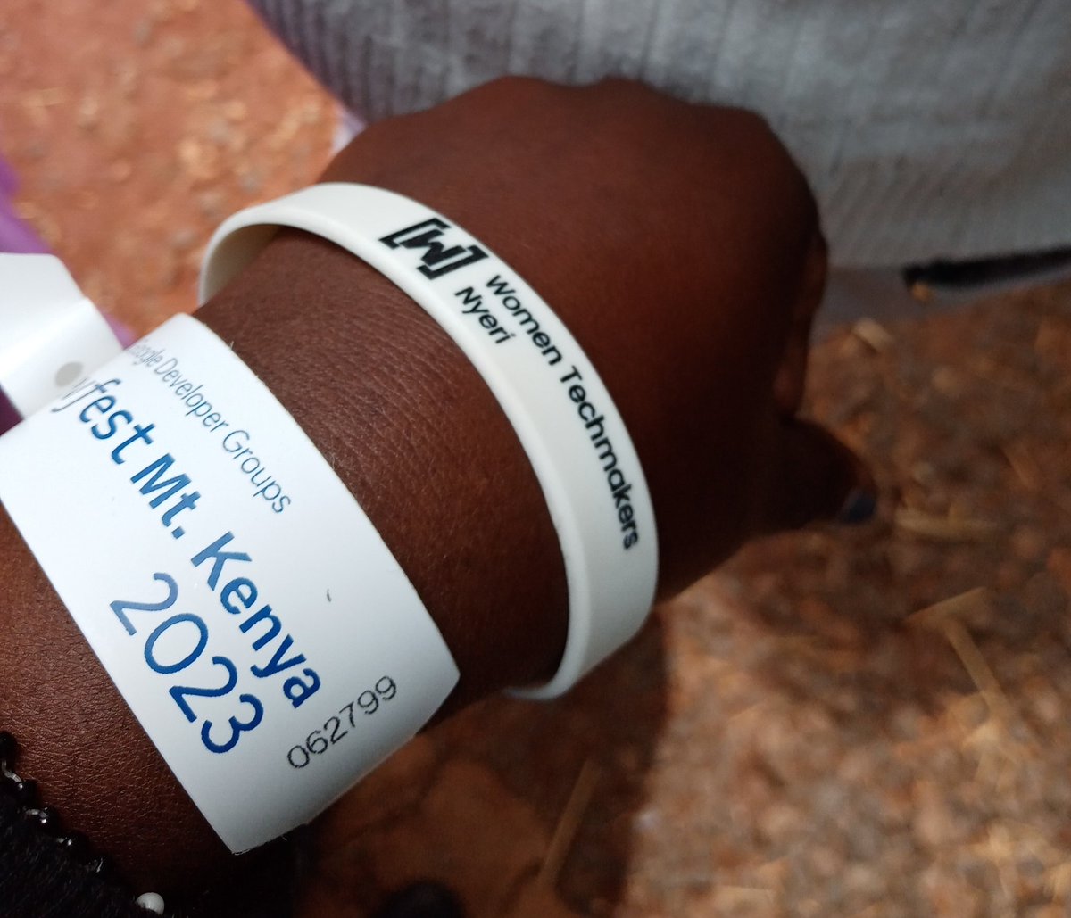 Maggy01Georges's tweet photo. POV: You attended Devfest Mt.Kenya 🥳✨😊 It was an awesome day of learning and networking. I got to interact with friends from Meru and Karatina university as well got to interact with some from my very own school @DeKUTkenya #DevFest2023 @gdsc_dekut @GdgnyeriC #DevMtKenya https://t.co/dErRrrYXRM