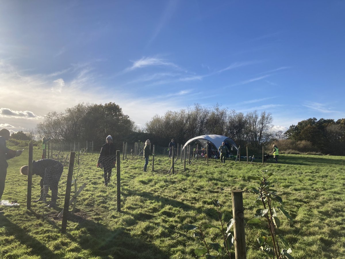 Great to see the Woodhatch community orchard come to life!🌱

Huge thanks to @GreenWoodhatch for putting this together👏give them a follow and look out for upcoming events. The next plant day is on Nov 19th.