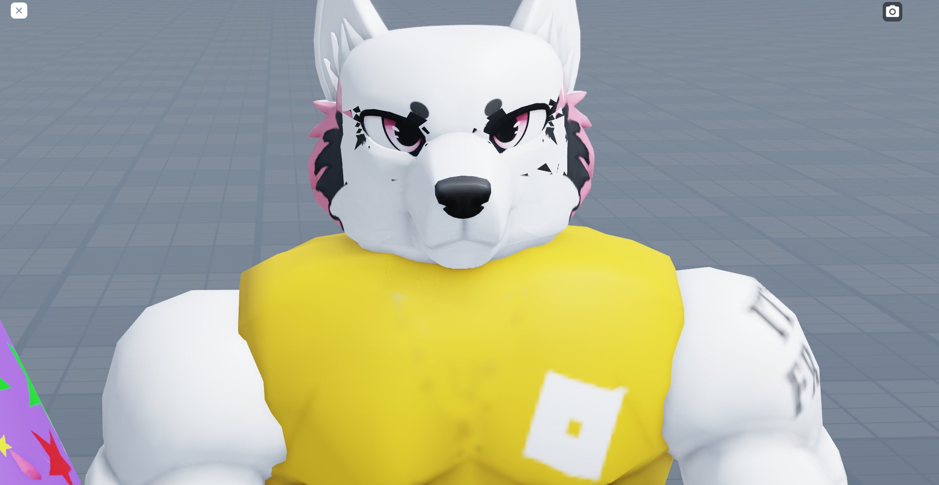 RobloxFurs