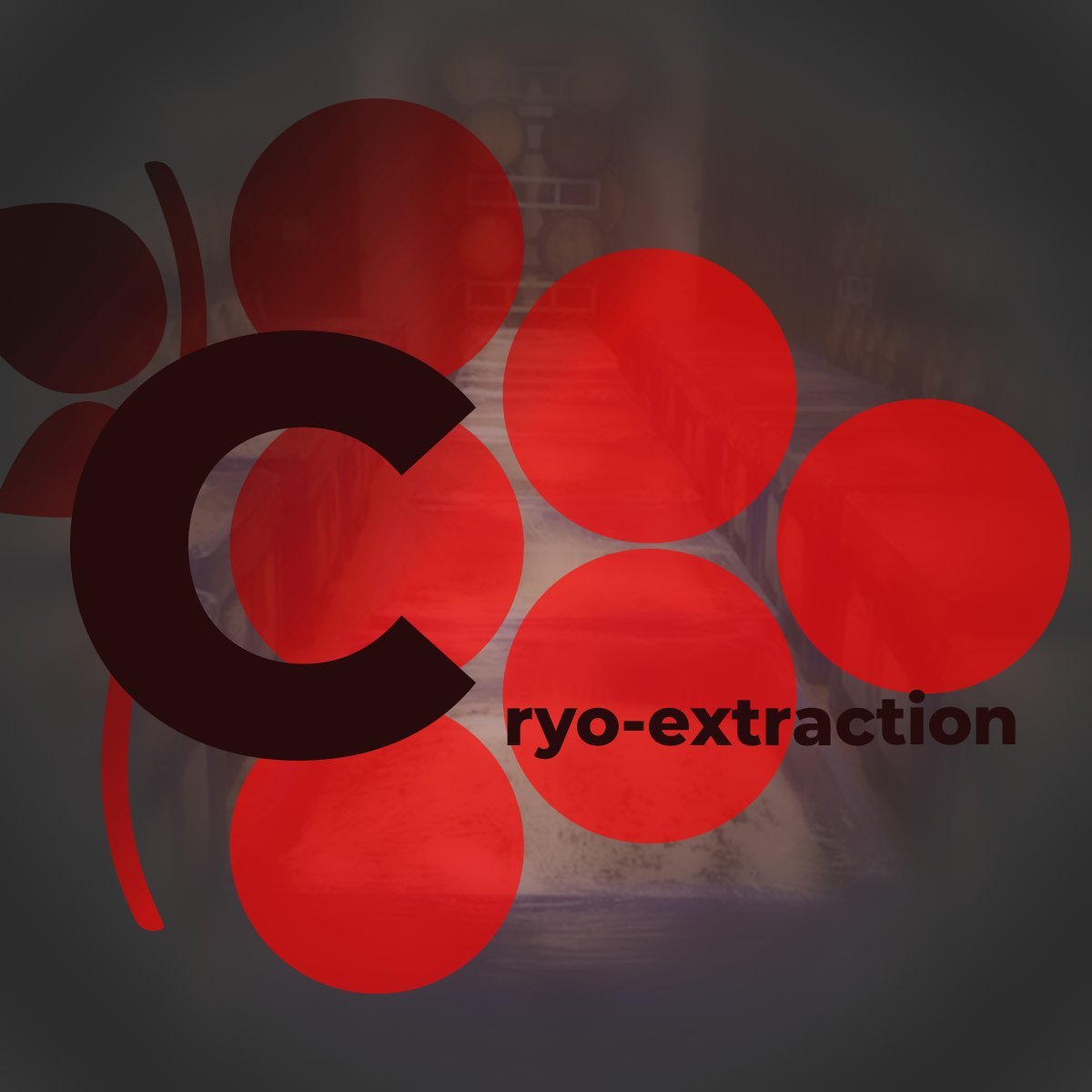 Wine ABC – Vinification Edition:

Cryo-extraction or Cryo-concentration