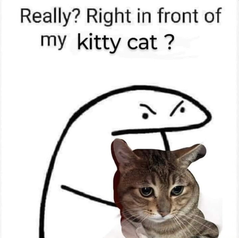 WholesomeMeme's tweet photo. https://t.co/526qvH47XL