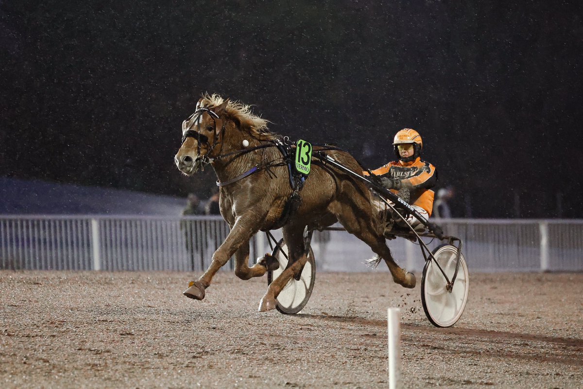 Vermossa ravattiin tänään Kavioliiga-ravit, divisioonafinaalit ja perinteinen Käpylä GP 🏆

🥇Mandela Zon
🥇Birger
🥇Borin T.N.
🥇Bretagne
🥇Viisori
🥇Kyle Web
🥇Kiikku’s Trooper