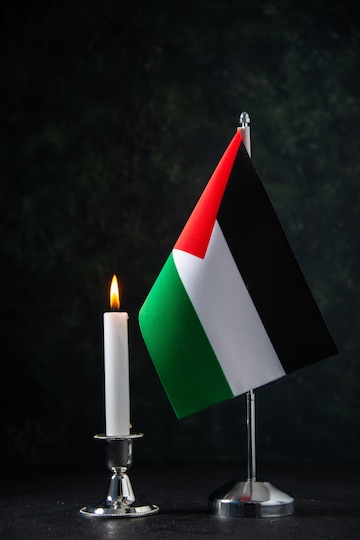 Trop de tristesse dans ce monde cruel, jusqu'à quand ces guerres sanguinaires pour un bout de terrain, mon coeur est meurtri quand je vois ce qui se passe à Gaza !