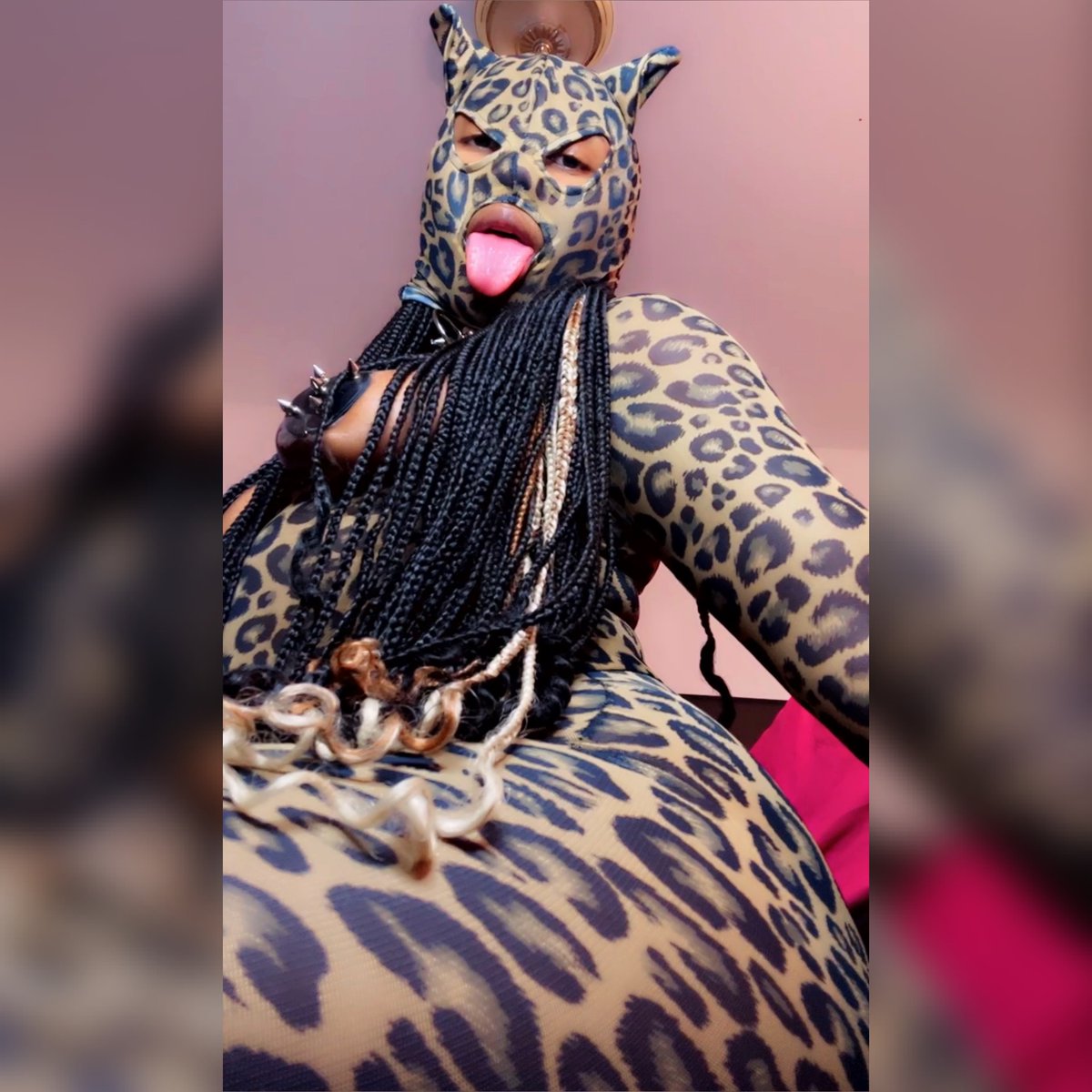 NiqueatKnight's tweet photo. Your favorite Leopard 🐆 
#linkinbio https://t.co/WFn2TZDdPw