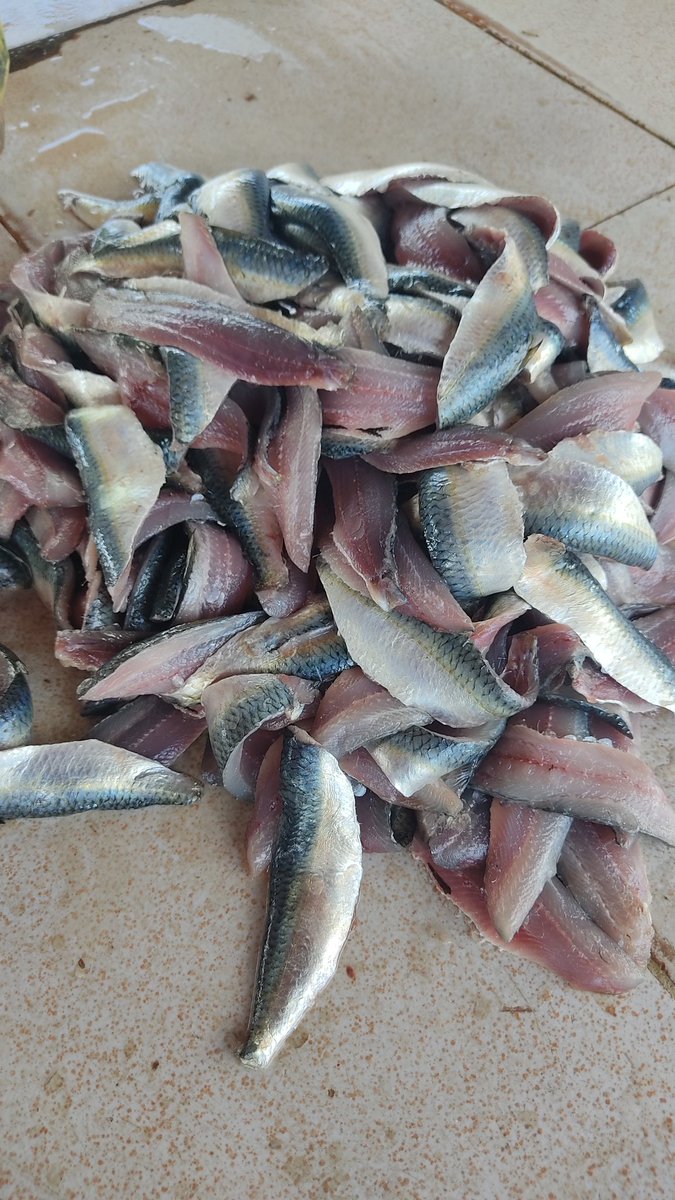 tineophoto's tweet image. Comida de los dioses #Cumaná