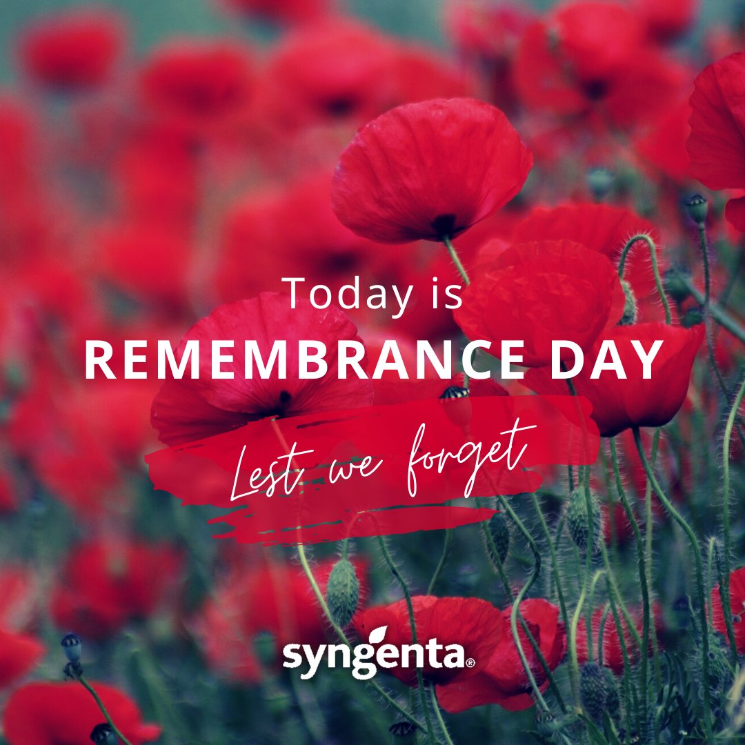 Today, and every day #CanadaRemembers.
