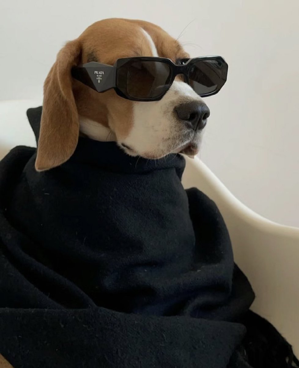 Hello World! Am I cool?

#shareverse #cool #web3 #win