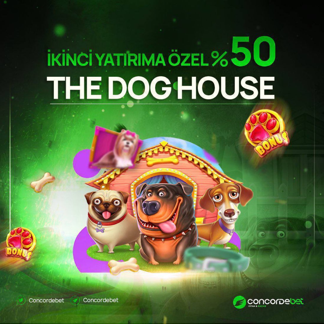 Kayıt olurken 250 Freesin Hediye 🎁

🟢İlk Yatırıma özel %300 Hoşgeldin Bonusu

💸İkinci yatırıma da %50 Freespin The Dog House oyununda hediye

🔗 cutt.ly/concordesosyal