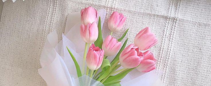 Eychα ᰔᩚ tweet media