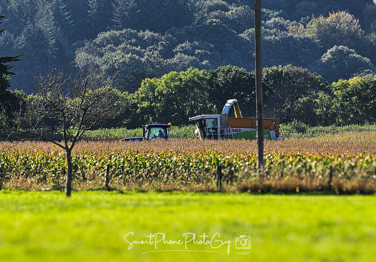 JamesNPhoto's tweet photo. Harvest time again #devon #visitdevon #harvest #harvest2023 #harvesting  #amateurphotographer #amateurphoto  #amateur #amateurphotos #naturephotography  #landscapephotography #photography  #phonephotography  #photographer #landscape #smartphonephotography #GalaxyS23Ultra https://t.co/hucdk7sjo7