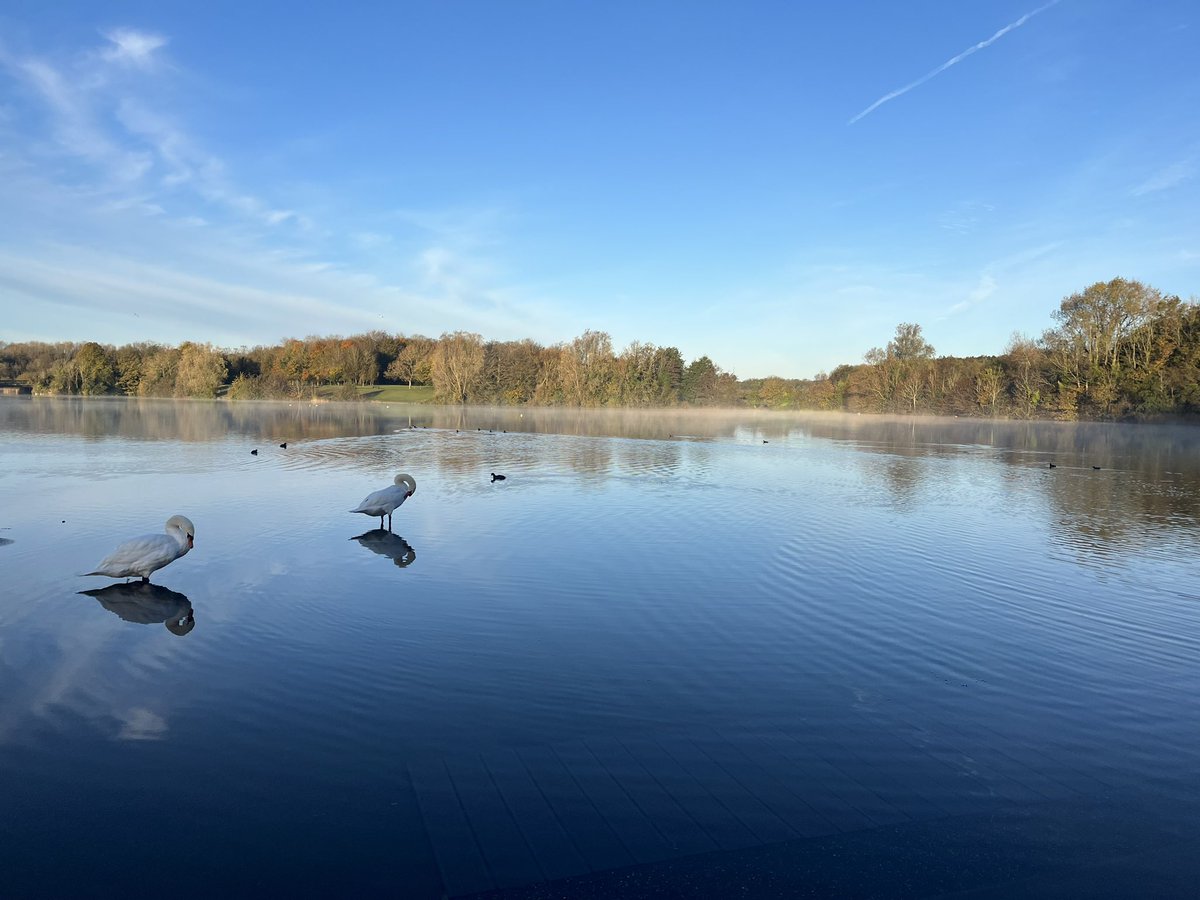 A beautiful early morning at Cosmeston Lakes Country park - home of our parkrun. 

Just one of many wonderful parkrun locations across Wales. 

#loveparkrun #parkruncymru