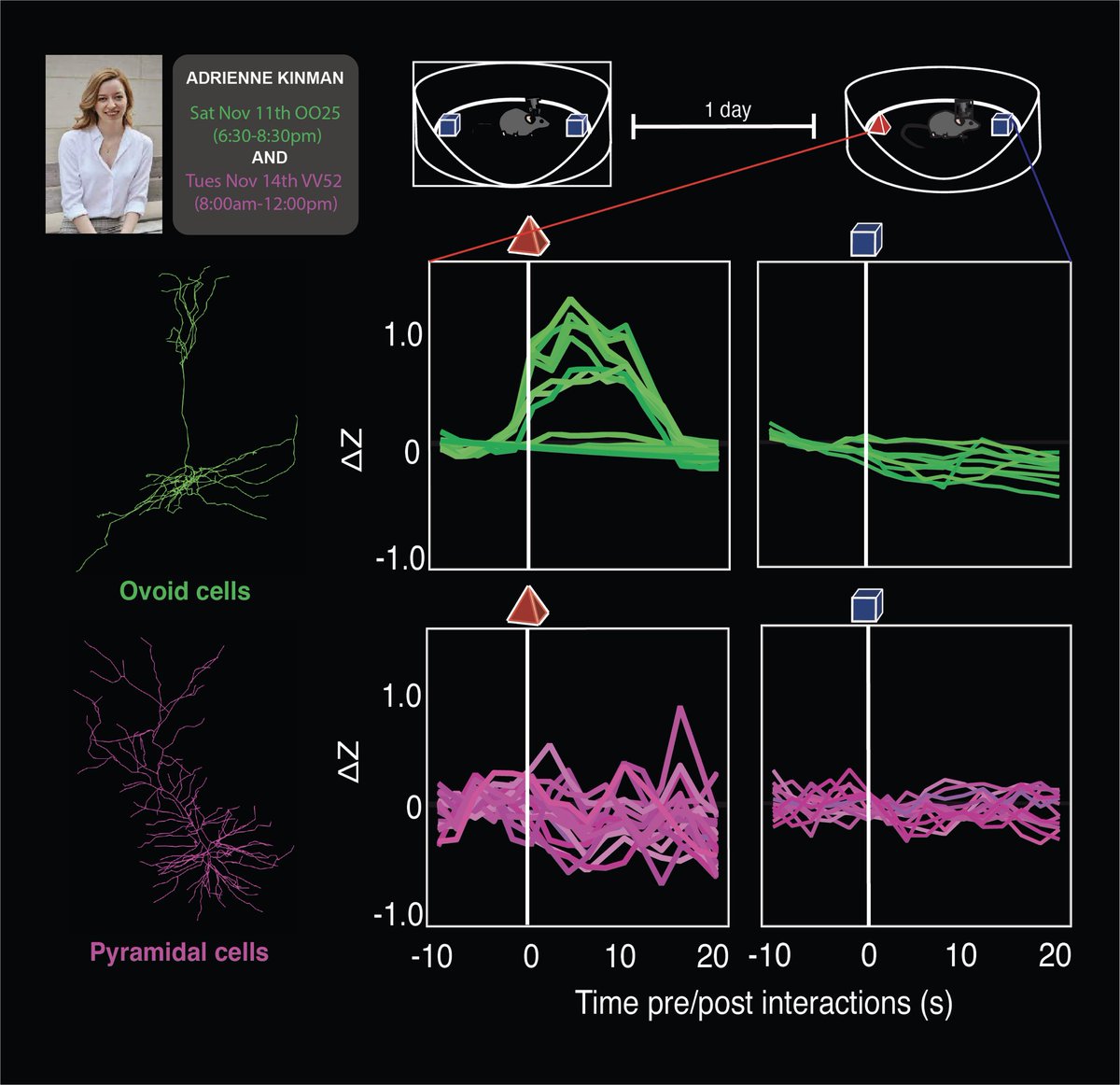 Kaitlin Sullivan, PhD tweet media