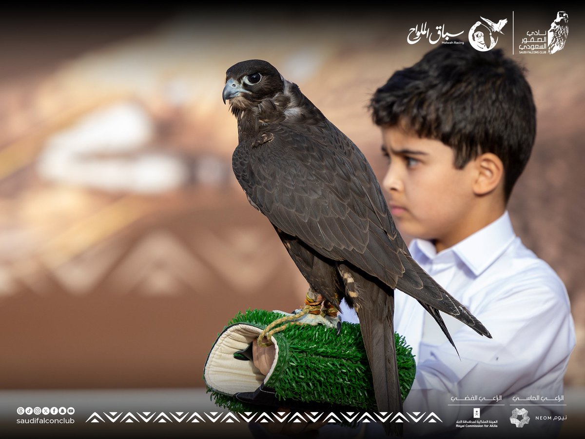 NCFSaudi's tweet photo. ثقة، تركيز، تنافس 

#سباق_الملواح 2023⁩ 
#نادي_الصقور_السعودي⁩ 𓅃 https://t.co/jZsWqNgdmu