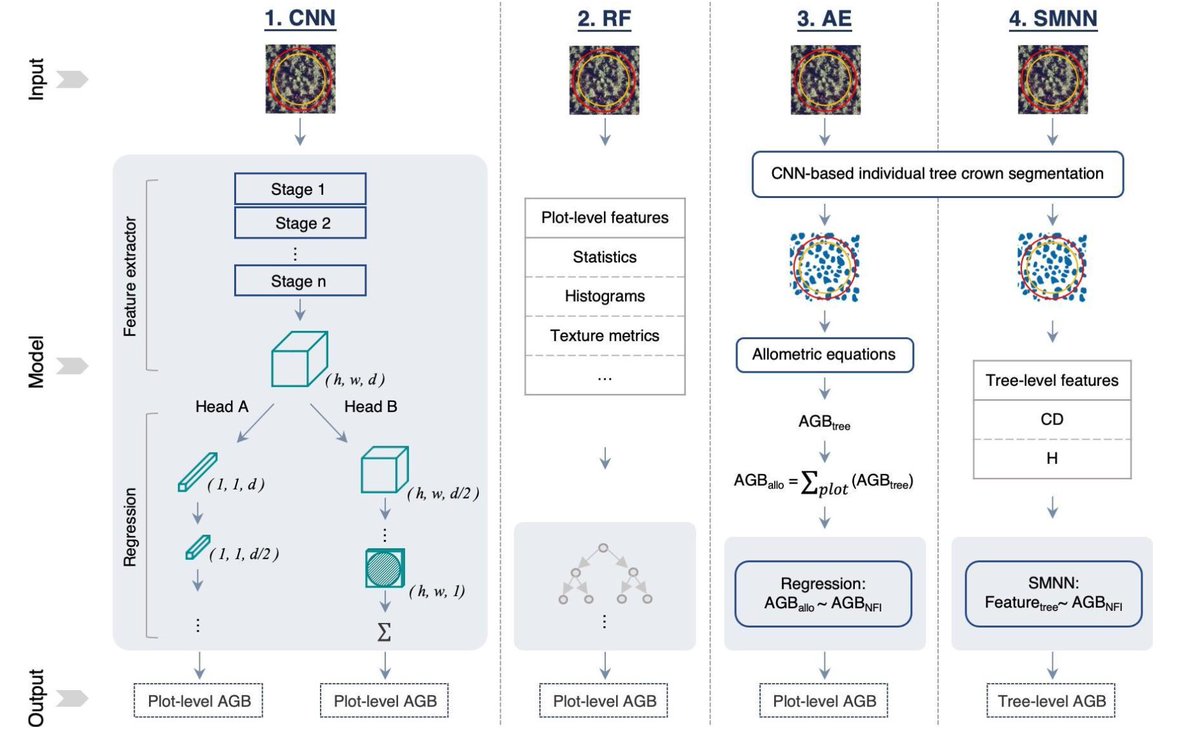 🖼️ A new ground breaking #ArtificialInteligence method gives high accuracy estimates of forest biomass based on very high resolution aerial photos By Sizhuo Li, @matin_brandt and colleagues @CEA_Officiel @IPSL_outreach @CTrees_org researchgate.net/publication/37…